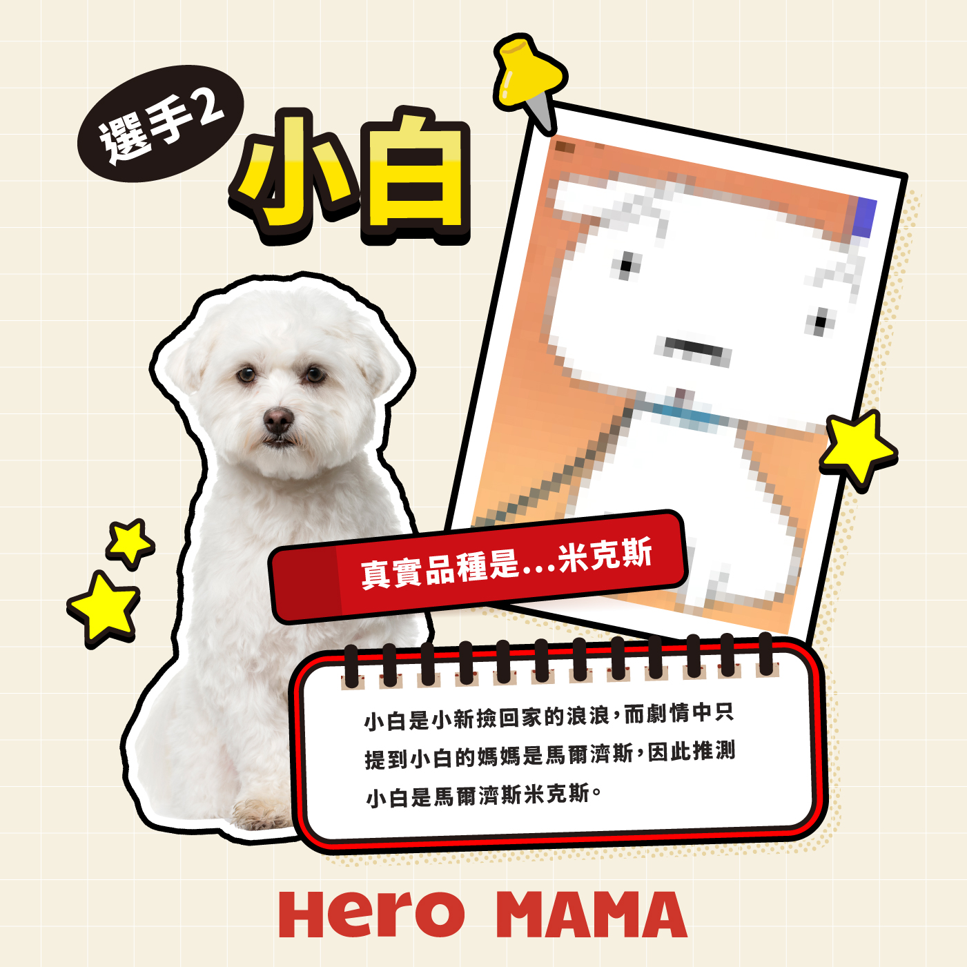 卡通狗品種懶人包】童年回憶大揭秘！Snoopy、小白到底係咩狗？5大超人氣卡通小狗真身公開！ - HeroMama (HK)