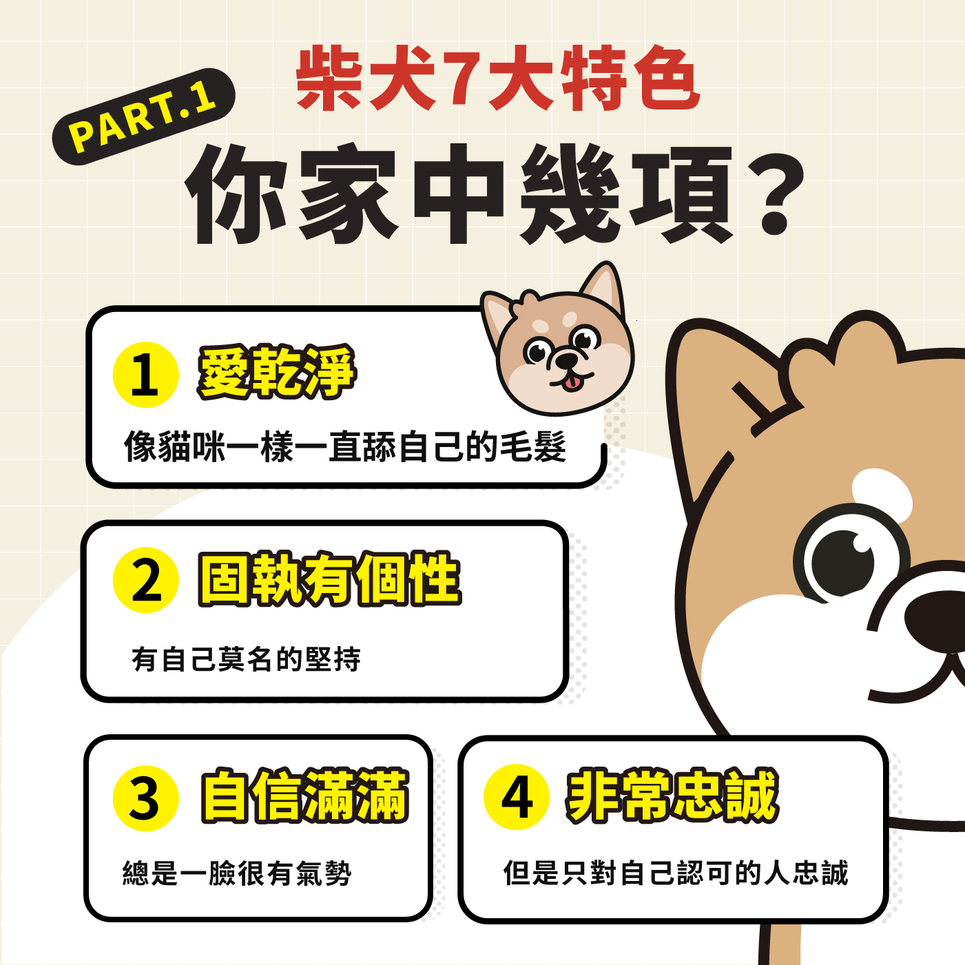 柴犬七大特色解析！最愛清潔的狗狗！ - HeroMama (HK)