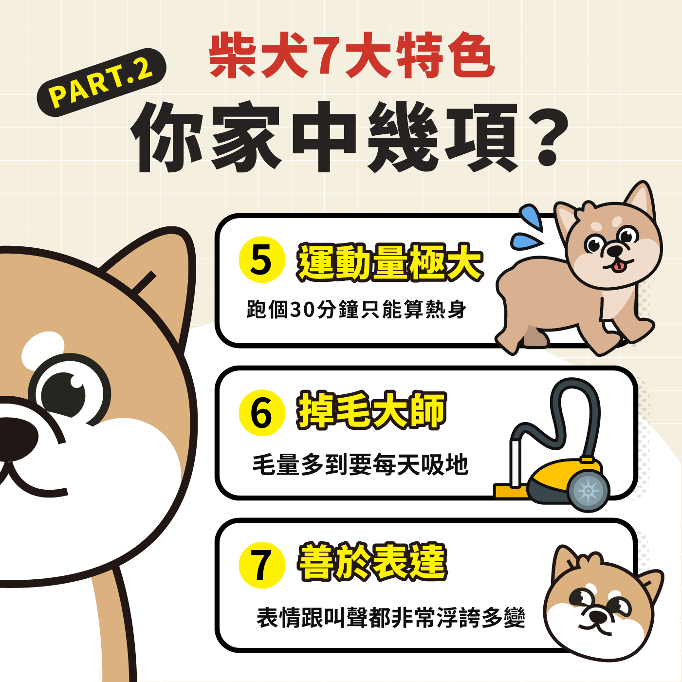 柴犬七大特色解析！最愛乾淨的狗狗！ - HeroMama (HK)