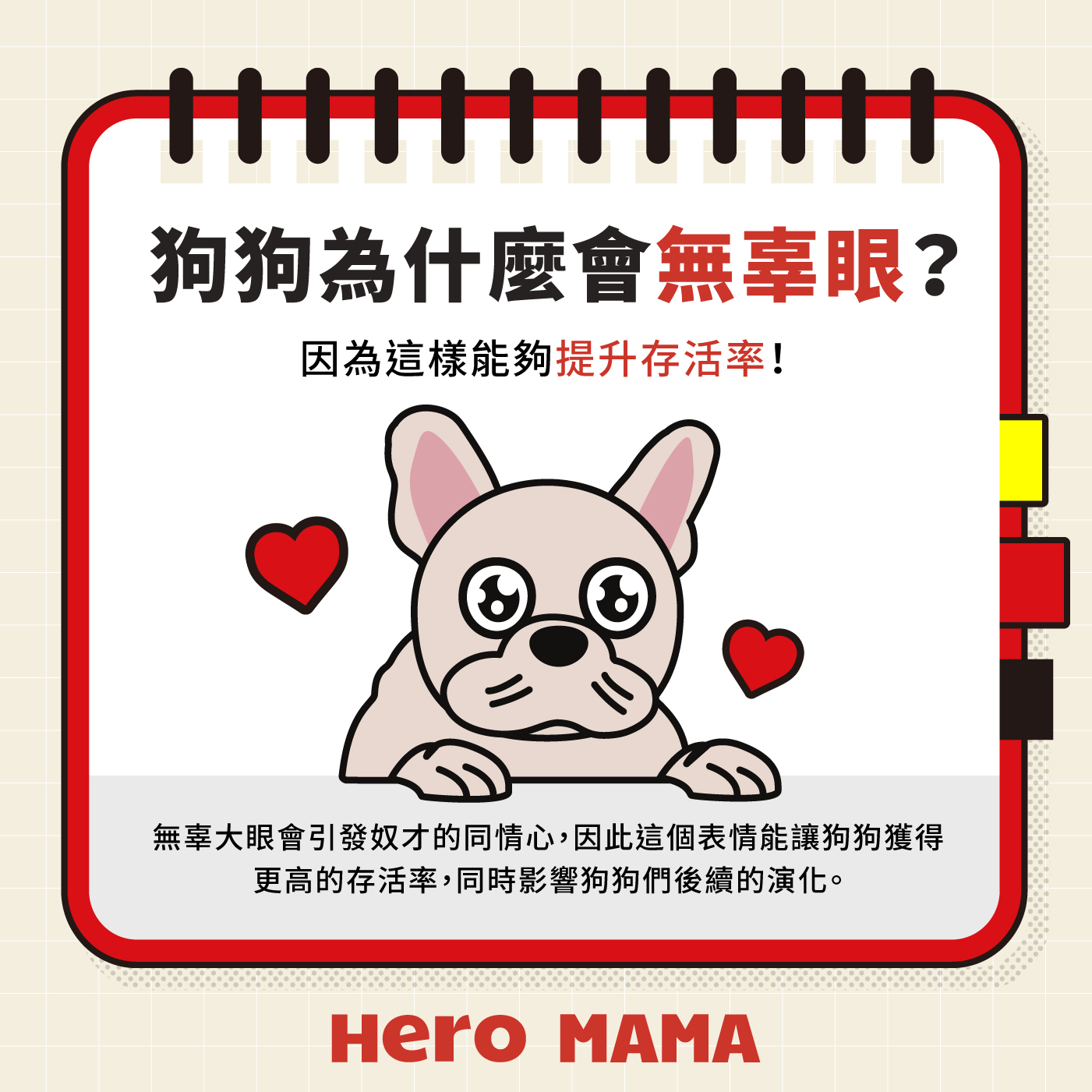 狗用眼神俘虜你的心?「無辜眼」背後的秘密! - HeroMama (HK)
