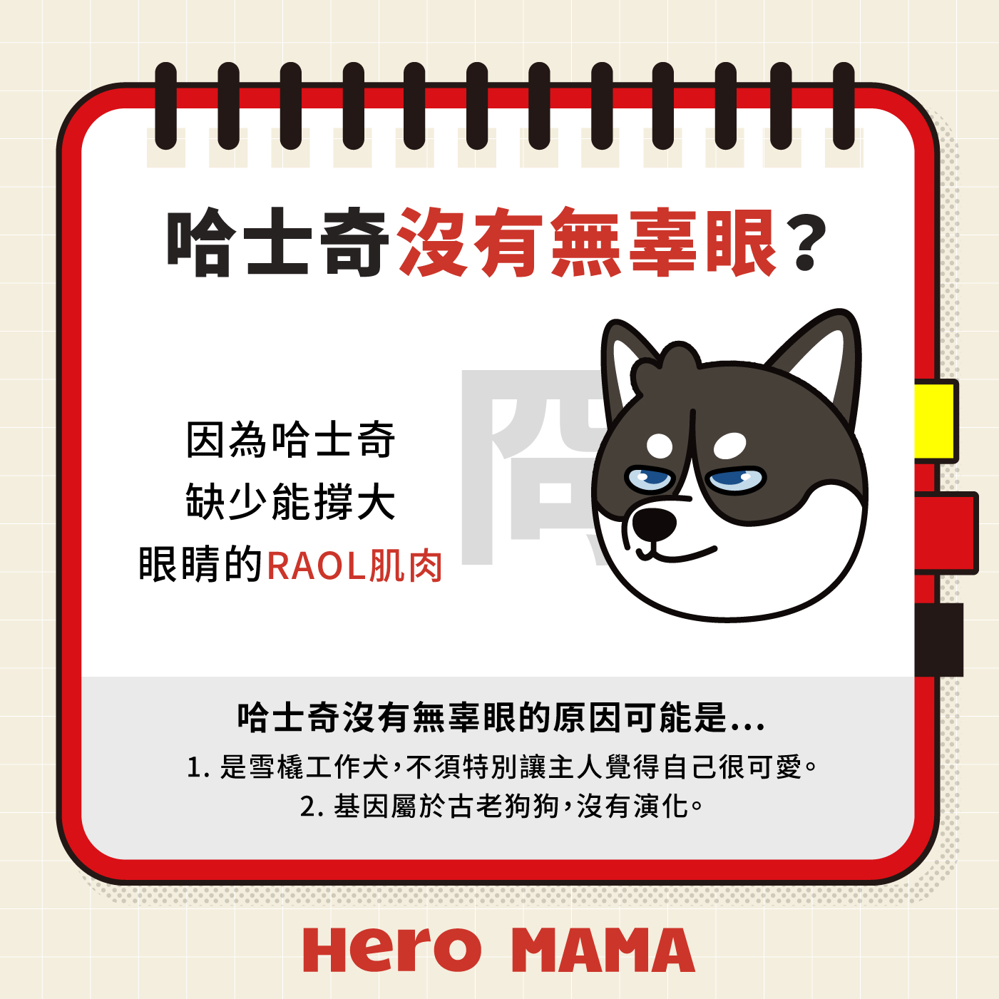狗用眼神俘虜你的心?「無辜眼」背後的秘密! - HeroMama (HK)