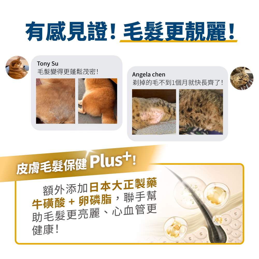 LickableSupplement(FishOil)_SP_4