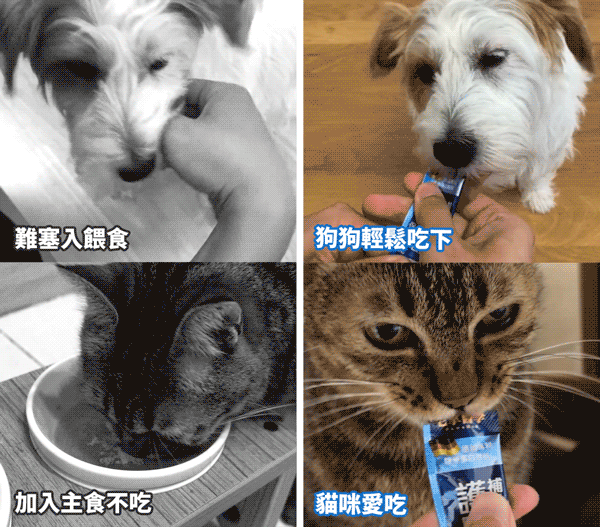 <h3><strong>每日一條 維持關節靈活×長肌肉</strong></h3> ☑ 肉泥狀好餵食，不再塞膠囊 ☑ 每條含足量、7大關節成分 ☑ 無消炎成分，如MSM等 ☑ 幫助關節潤滑、肌肉生長、骨骼健康 ☑ 無添加物，適口好不怕上癮，放心每天吃