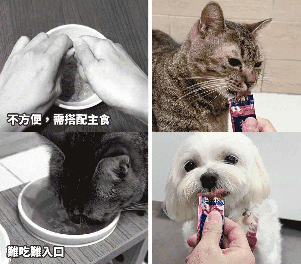 <h3><strong>每條80億益菌 輕鬆保養腸胃</strong><strong>×</strong><strong>對付軟便</strong></h3> ☑ 肉泥狀好餵食，不再塞膠囊 ☑ 每條含足量80億益生菌(最新熱滅活益菌) ☑ 嚴選24種大廠專利菌株 ☑ 含NAG、麩醯胺酸，適合易軟便毛孩 ☑ 無添加物，適口好不怕上癮，放心每天吃