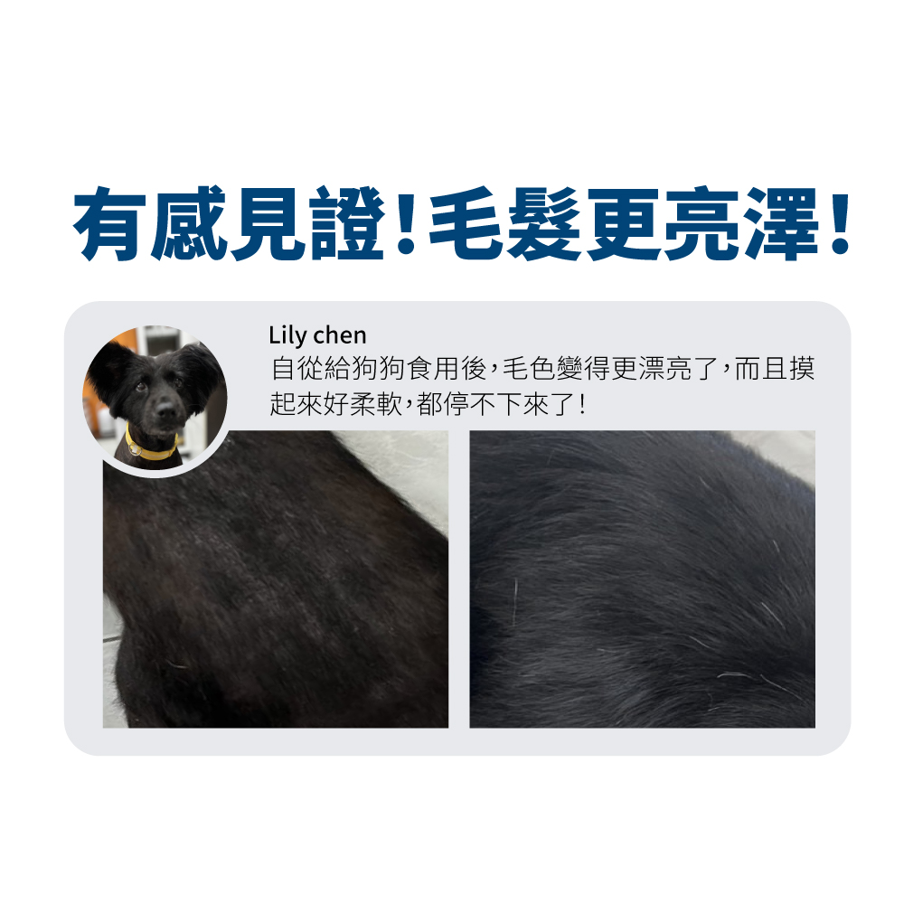 LickableSupplement(Krilloil)_SP_8